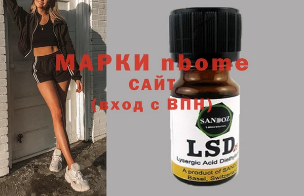 стаф Покачи