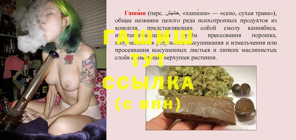 гидропоника Алзамай