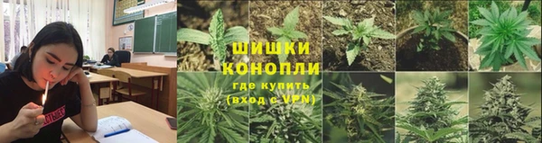 гидропоника Алзамай