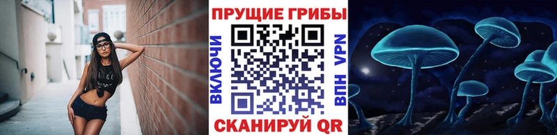 Галлюциногенные грибы Cubensis  blacksprut ССЫЛКА  Дюртюли 